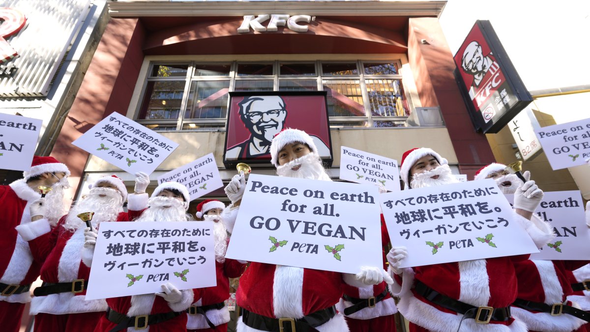 Activistas vestidos de Papa Noel