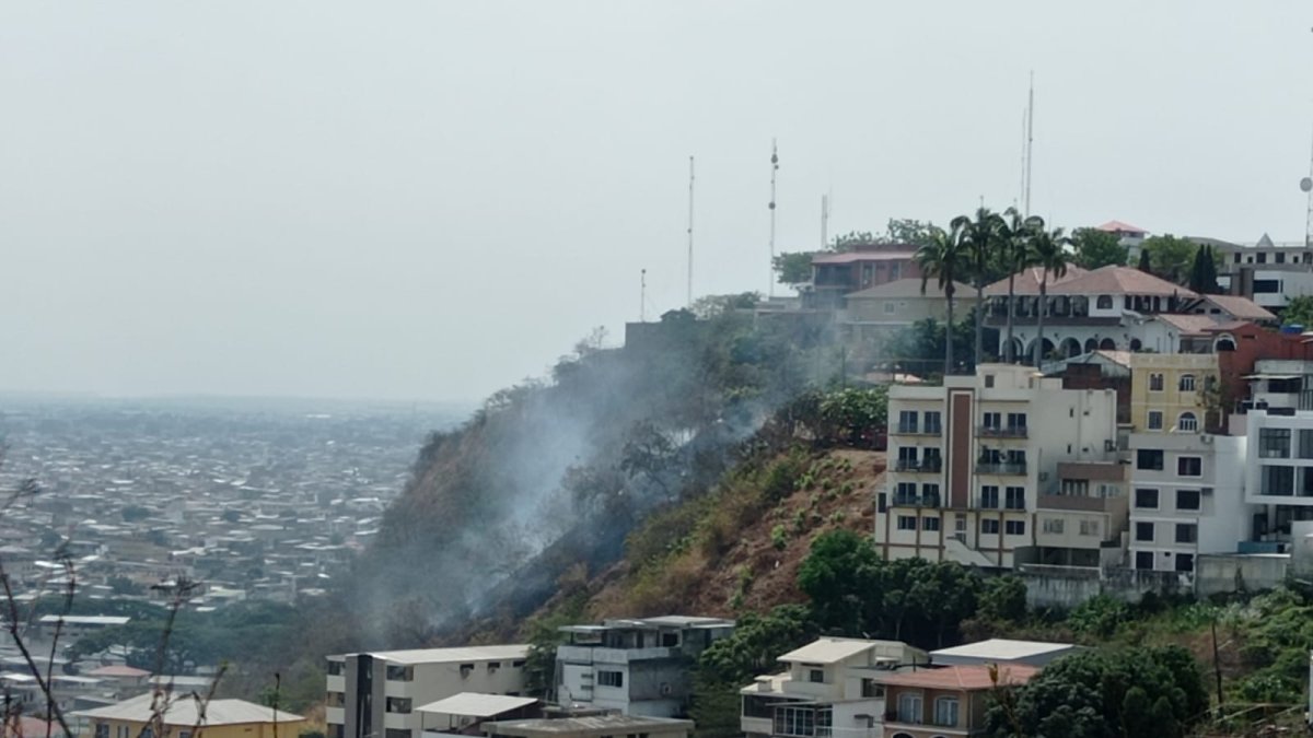 El hecho generó alarma entre los moradores de la zona.