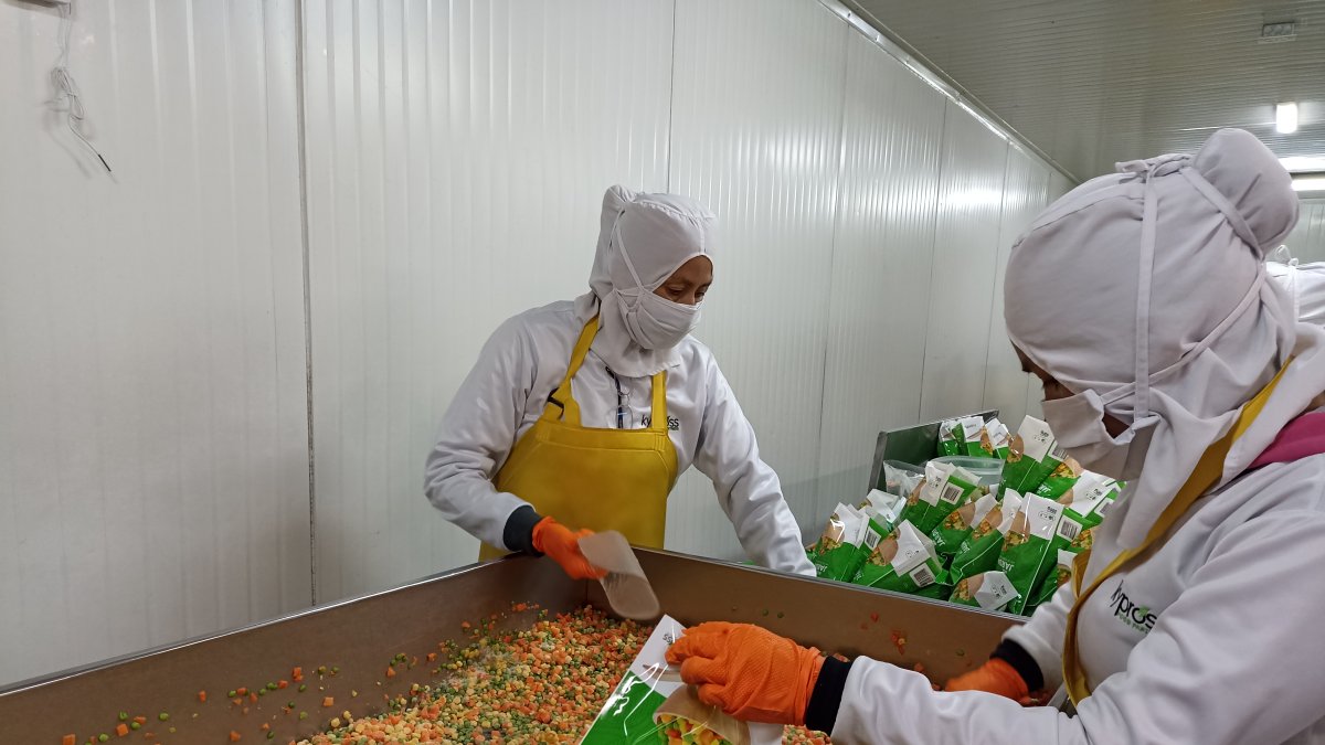 Producción.- Personal que trabaja en la empresa donde se elaboran productos IceMan.