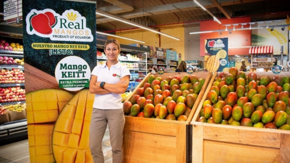 Producto.- Real vende en Ecuador mangos de exportación.