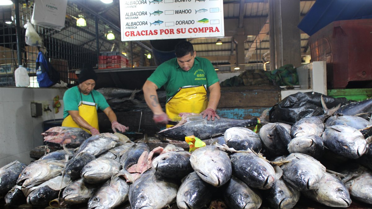 Personal. Hay cerca de 400 trabajadores solo en la parte de mariscos. Venden pesca negra y blanca.