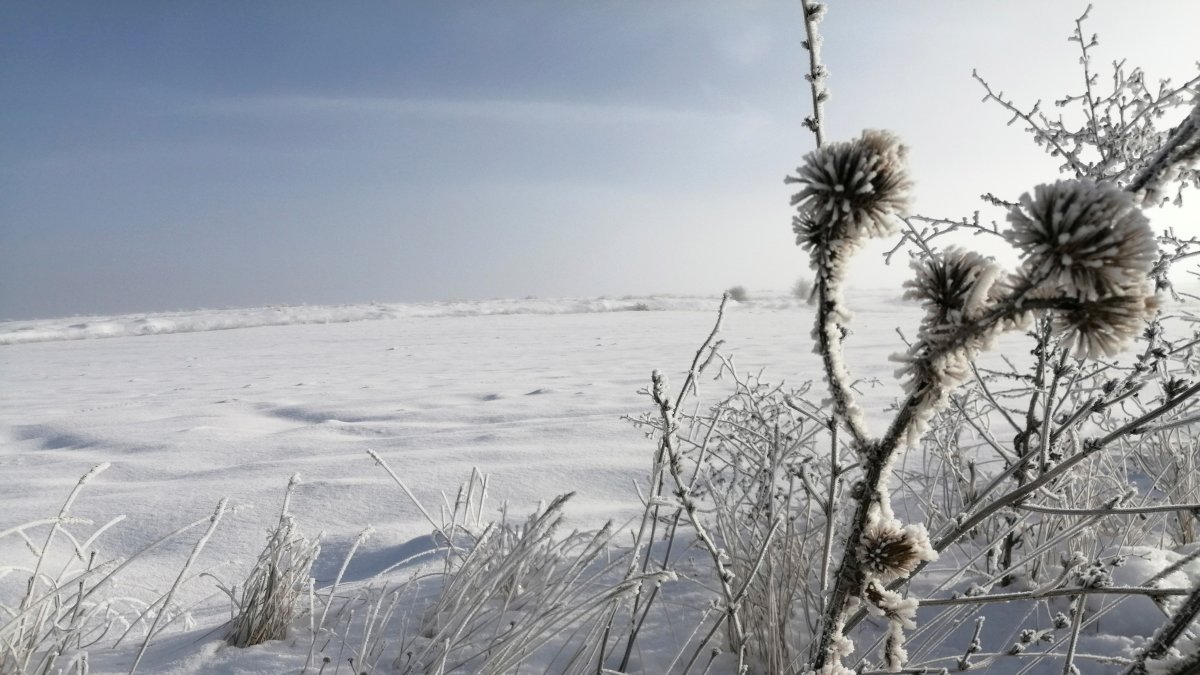 Paisaje nevado de Castellar de la Muela, localidad perteneciente al Señorío de Molina de Aragón, en una imagen de archivo.