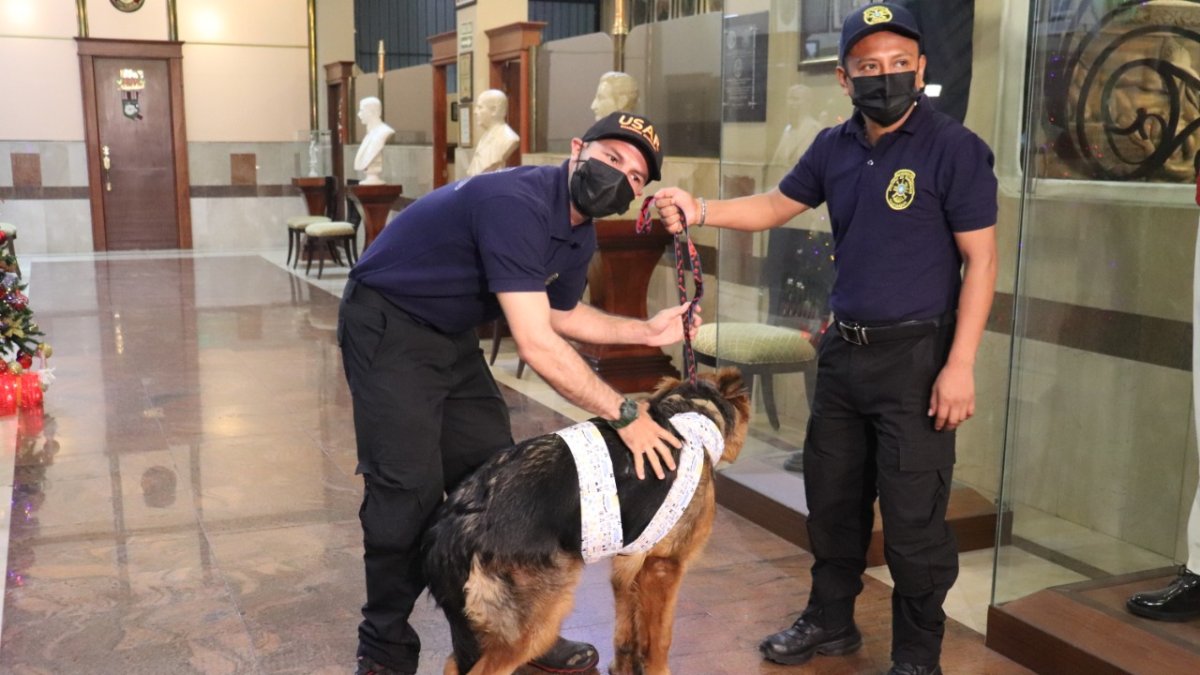 Consejos. En esta época, las mascotas también deben ser protegidas.