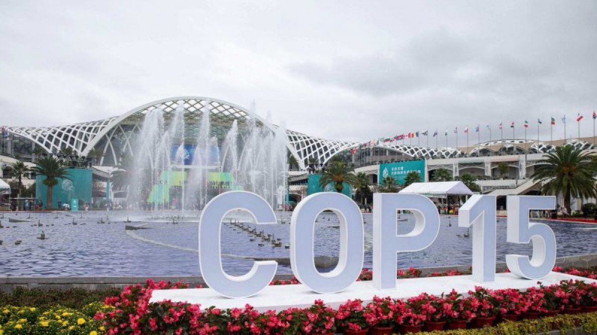 Plan. La COP15 tiene meta de protección de biodiversidad.