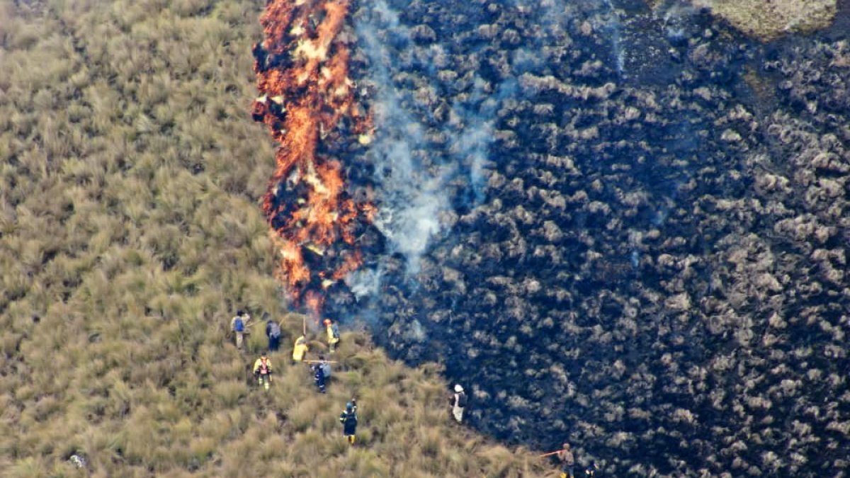 Acciones. Varias instituciones colaboraron en las tareas.