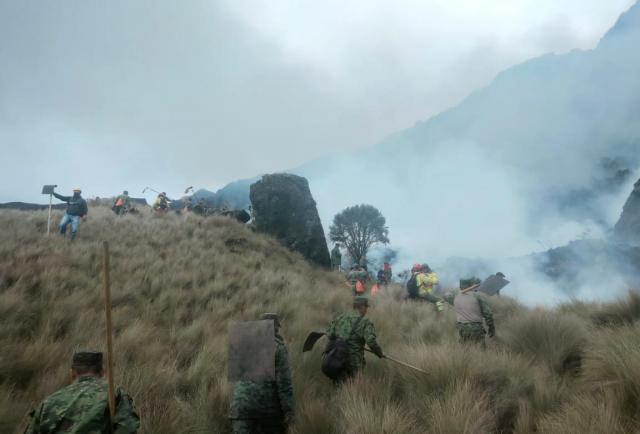 Incendio Forestal Destruye 180 Hectáreas De Bosque Nativo En El Cajas