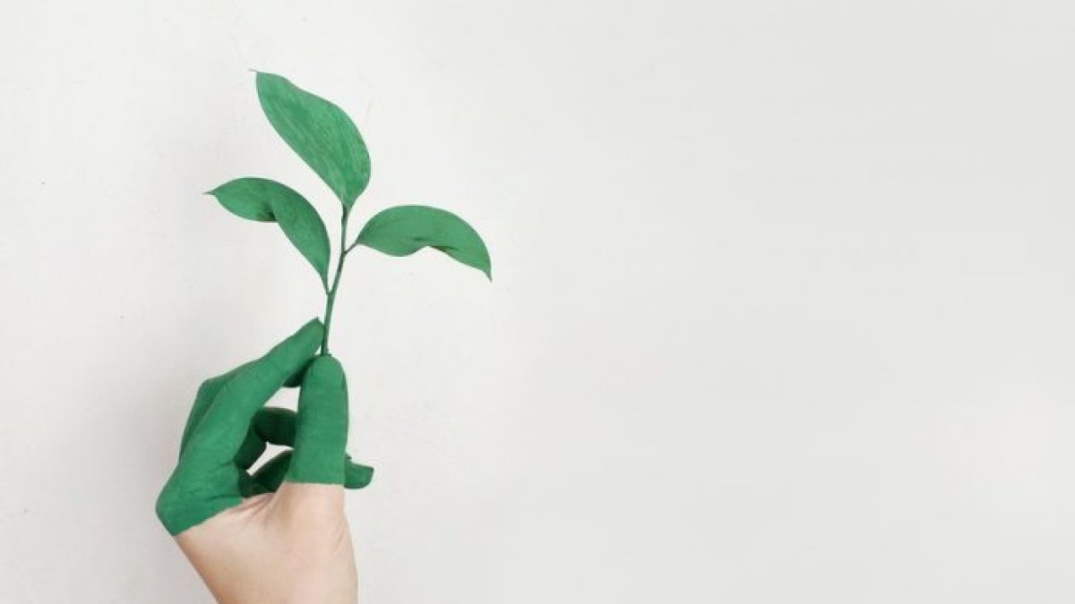 Imagen archivo, medio ambiente