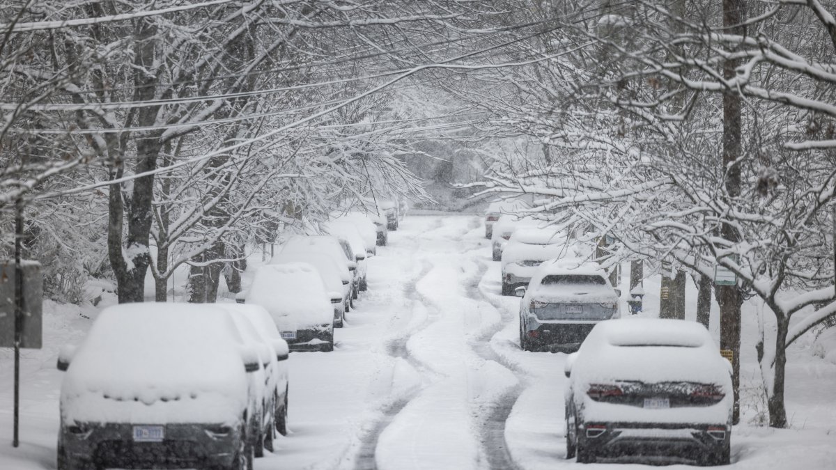Vista de autos cubiertos por nieve tras una tormenta invernal, en una fotografía de archivo. EFE/Jim Lo Scalzo