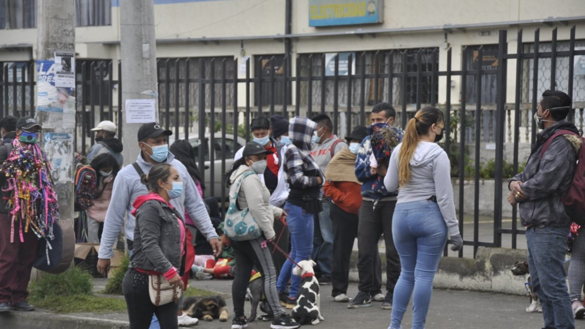 Ambato. Comerciantes ofrecen perros en los alrededores del mercado. Cuando no los venden, los abandonan.