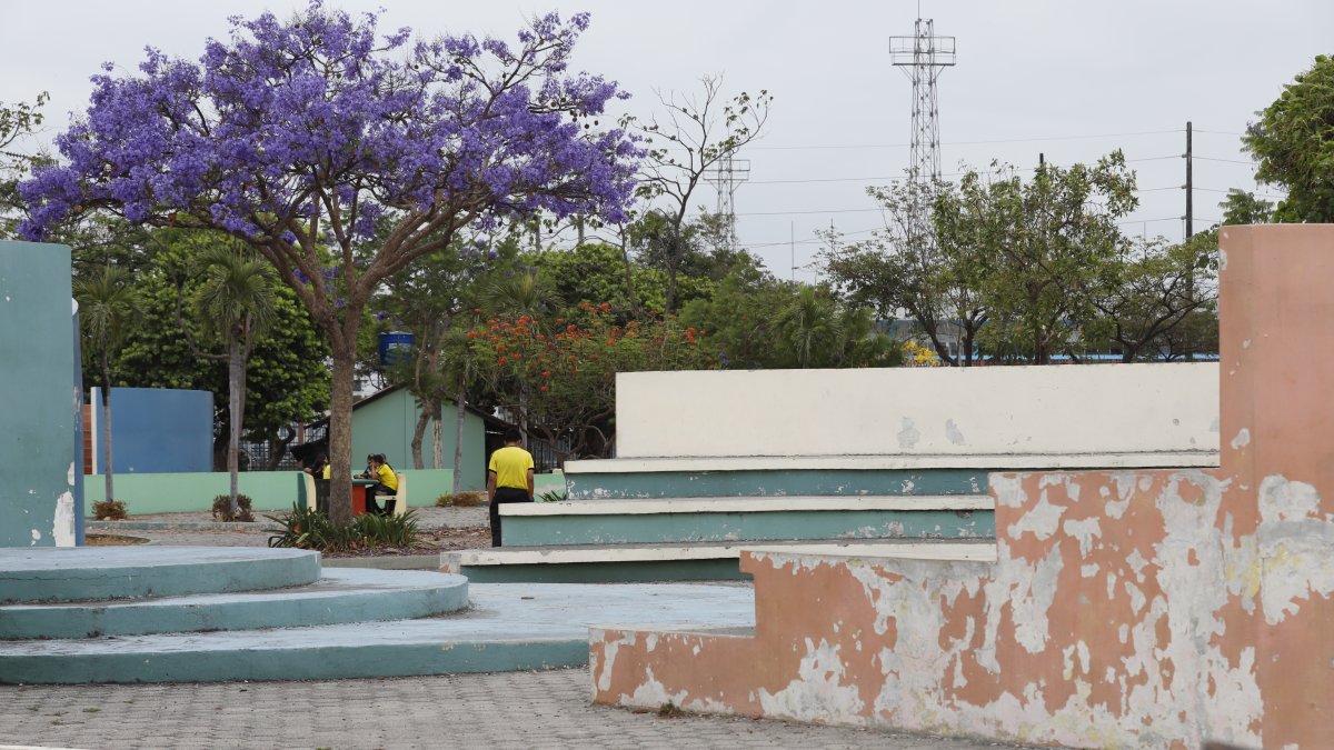 Atención. Así lucen de despintadas las paredes y gradas.