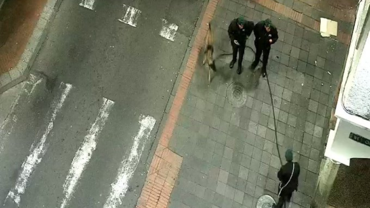 La Policía Nacional, con sus unidades especializadas, inspeccionaron las zonas de las alertas.