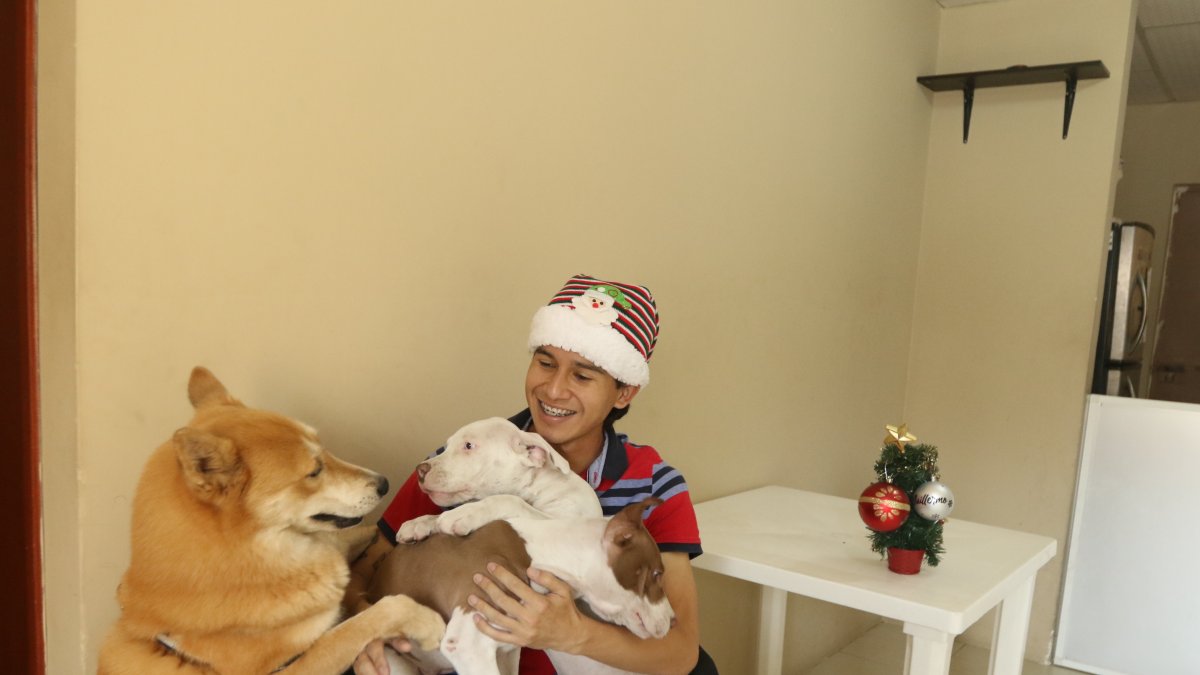Fiestas. Los foráneos que no retornan a casa por Navidad optan por celebrar con amigos, e incluso mascotas.