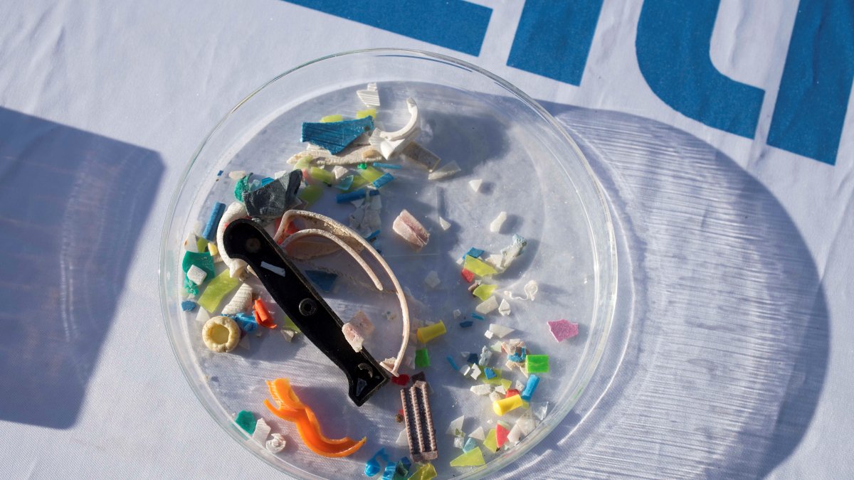 Muestra de microplásticos marinos.