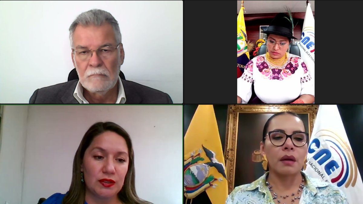 El pleno del Consejo Nacional Electoral sesionó de manera virtual.