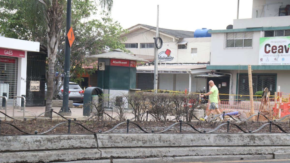 Escena. Las especies lucen marchitas en diferentes tramos de esta transitada avenida, la principal de Urdesa.