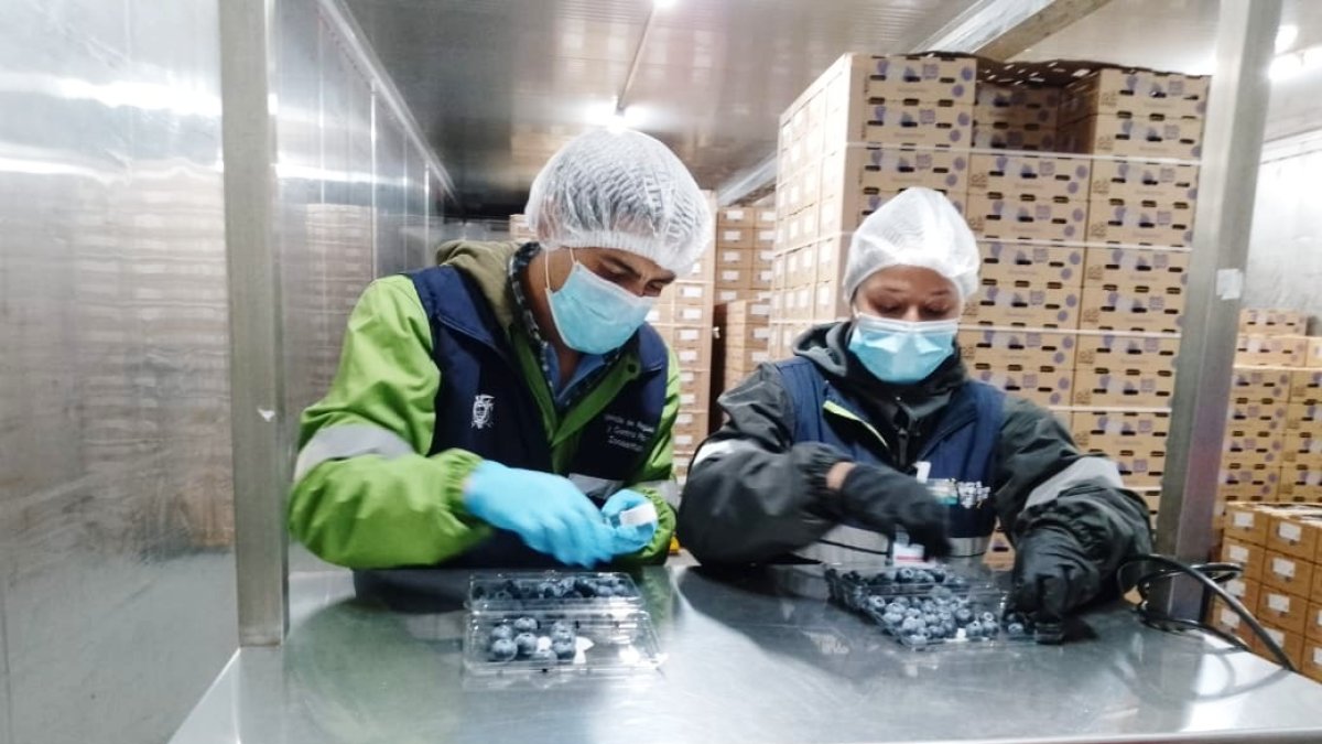 Carga. Desde Loja se transportaron más de 12.000 kilogramos.