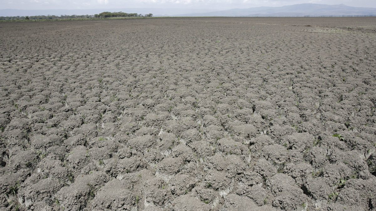 Paisaje lunar de polvo y suelo agrietado en la parte suroeste del Lago Naivasha, en Kenia. Archivo EFE