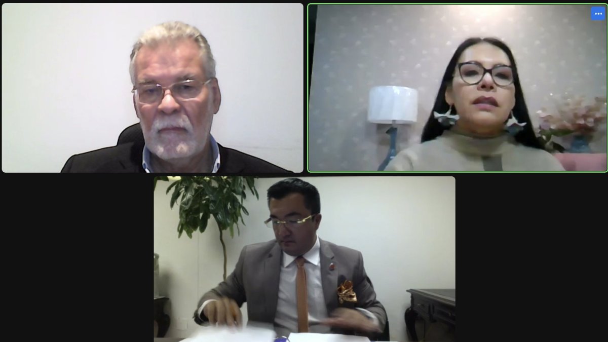 La sesión ordinaria 96 del Pleno del Consejo Nacional Electoral se realizó por videoconferencia.