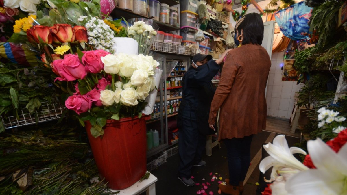 Opción. Muchas personas deciden hacerse ‘baños’ en sus domicilios y compran las plantas.