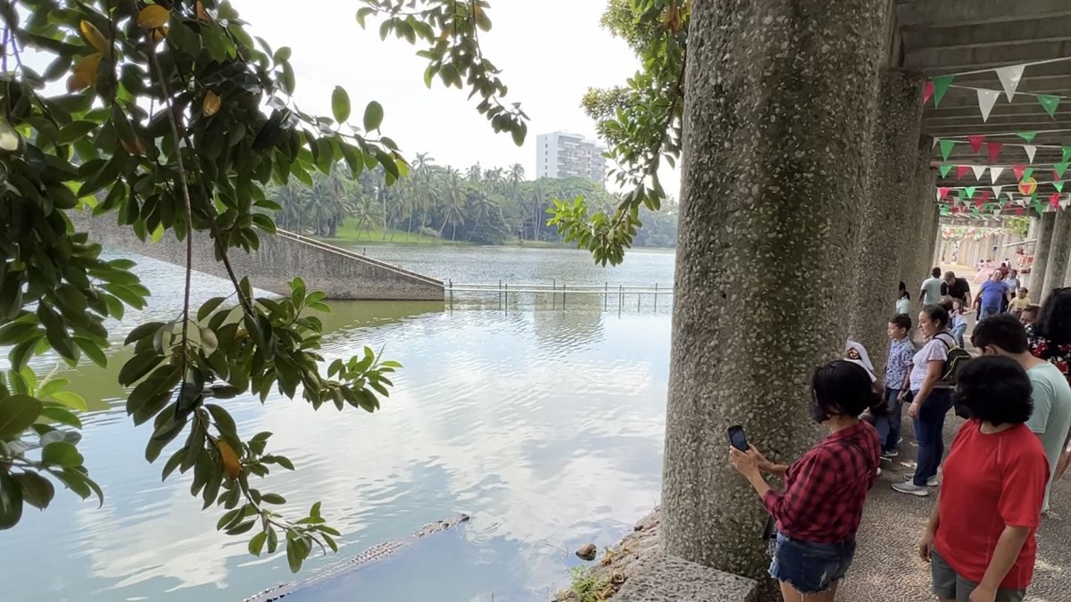 Personas toman fotos a un cocodrilo en la Laguna de las IIusiones, en el municipio de Villahermosa, en Tabasco (México).