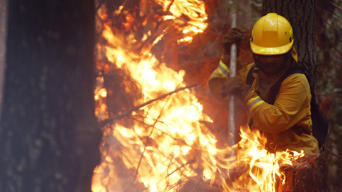 Grupo de bomberos combaten los incendios.