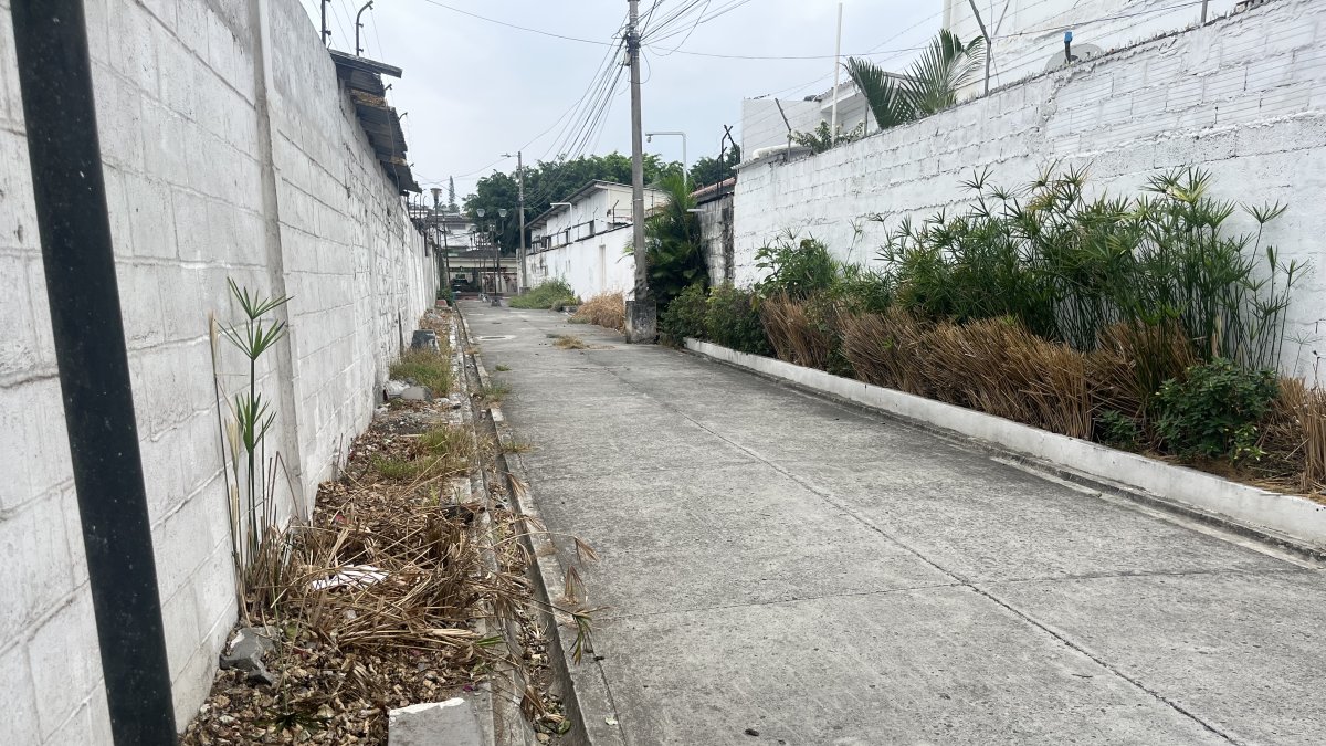 Callejón de Urdesa Central sin mantenimiento, ni aseo.