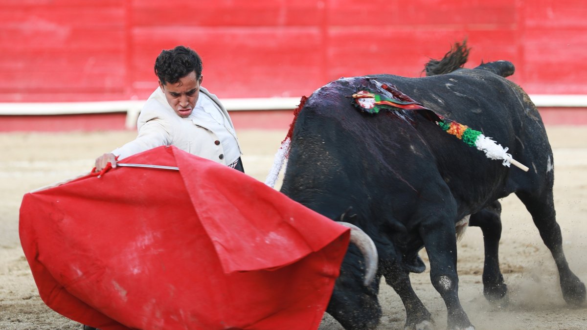 Prohibición. Las corridas de toros en Ciudad de México son una tradición.