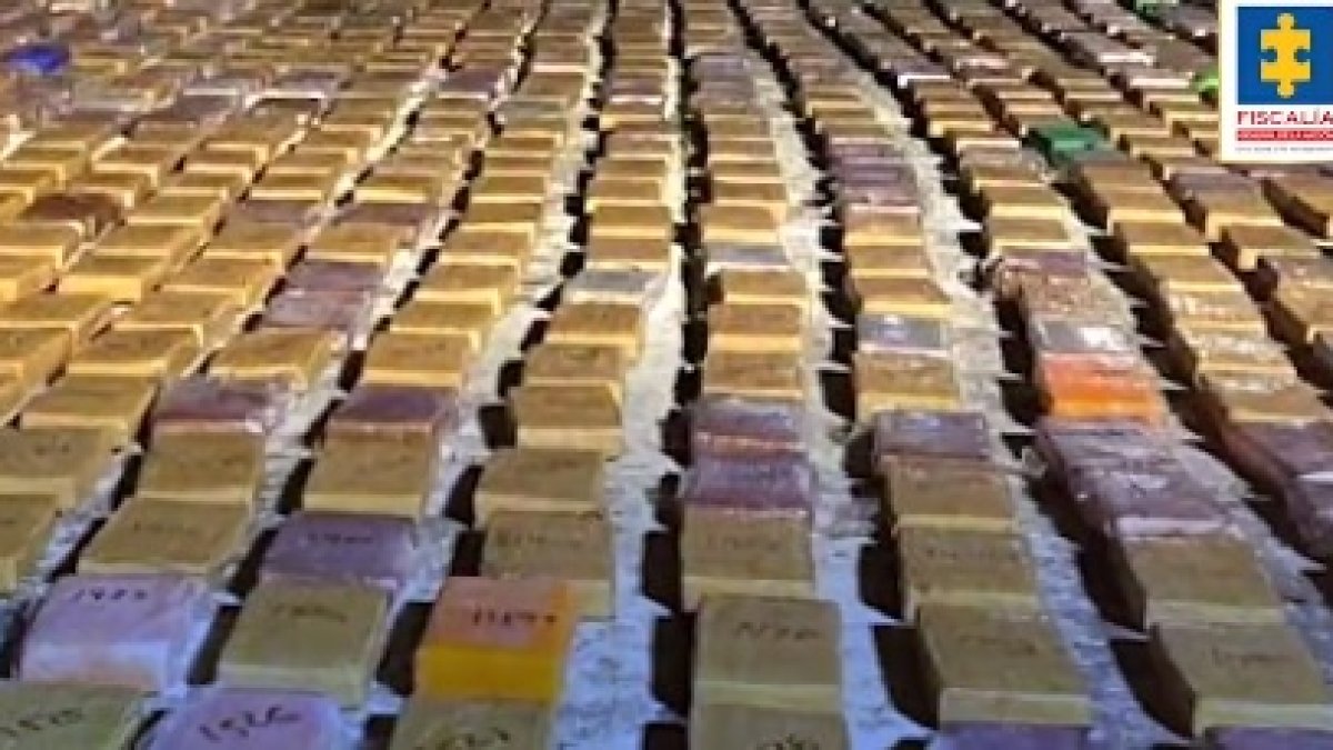 Los sospechosos fueron capturados en 5 departamentos colombianos.