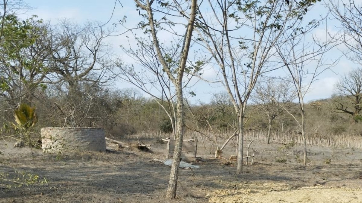 Montecristi. A Randy Zambrano, lo hallaron en la zona rural Los Bajos.
