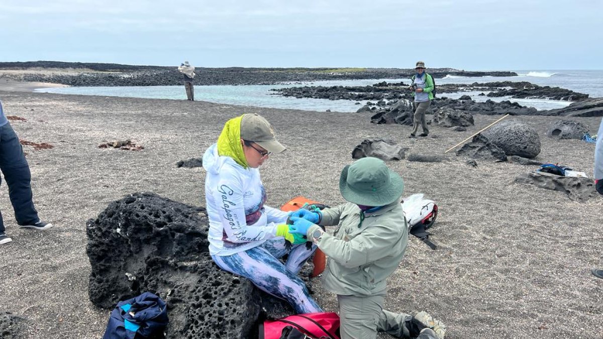Trabajo. Personal que participó de labores de campo, en Galápagos.
