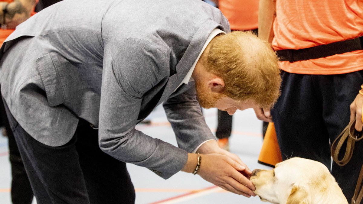 Imagen de Archivo del príncipe Enrique.