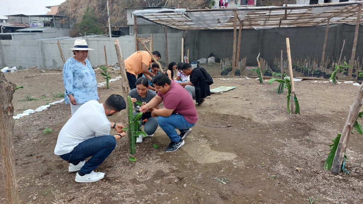 En las nuevas instalaciones se han desarrollado parcelas demostrativas de cultivos de hortalizas, maíz, soya y arroz, etc.