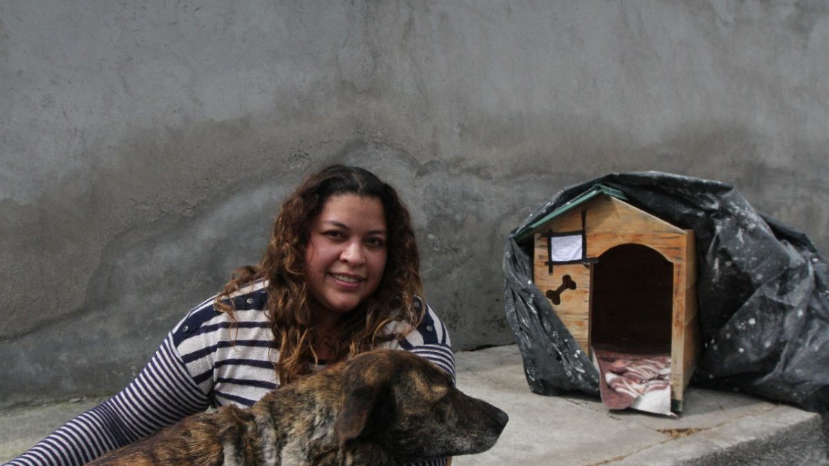Cariñoso. Los vecinos lo cuidan y alimentan desde que llegó al barrio.