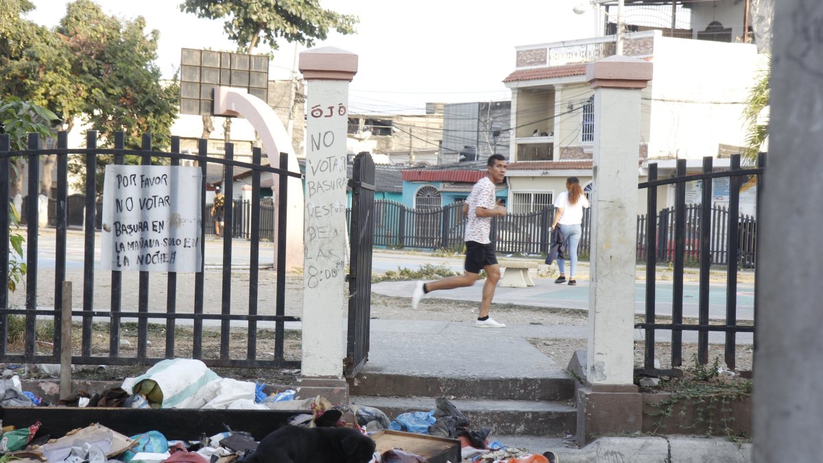 Panorama. A pesar de advertencias se acumulan desechos.