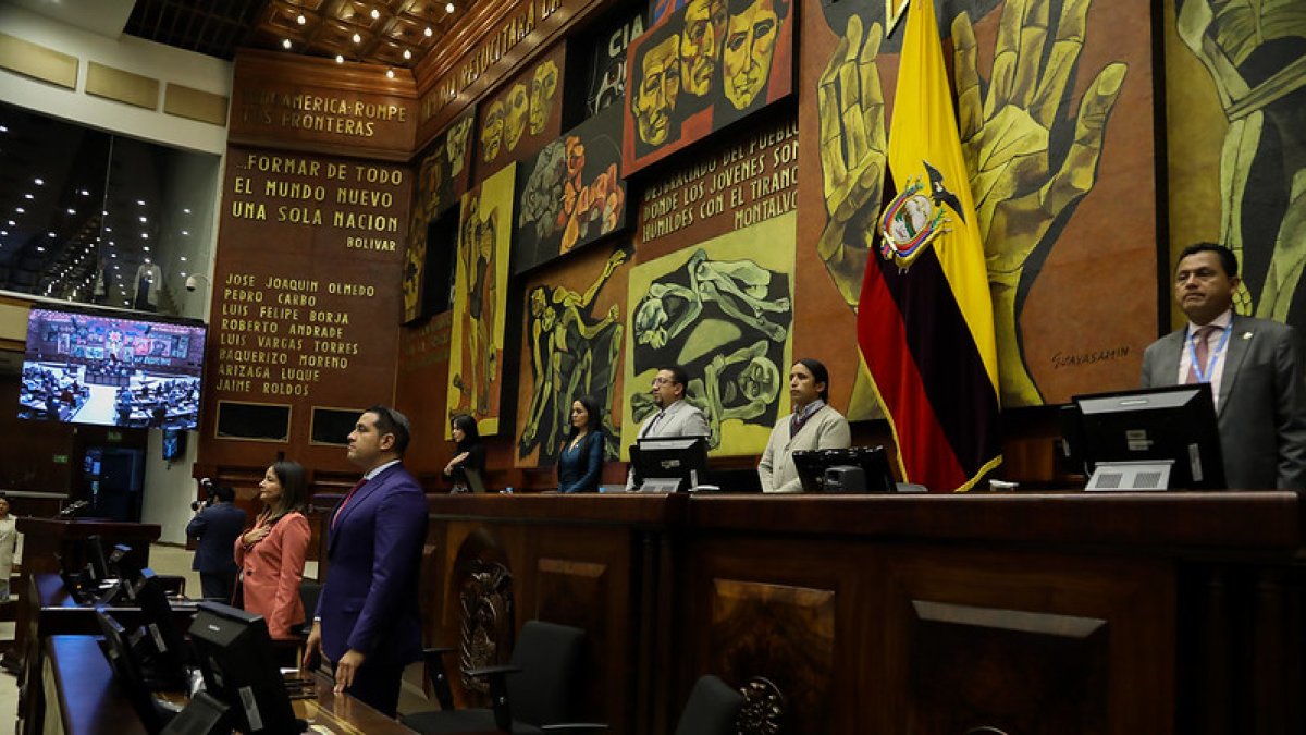 Sesión. Una vez aprobadas las leyes, los legisladores deben enviar a su publicación en el Registro Oficial.