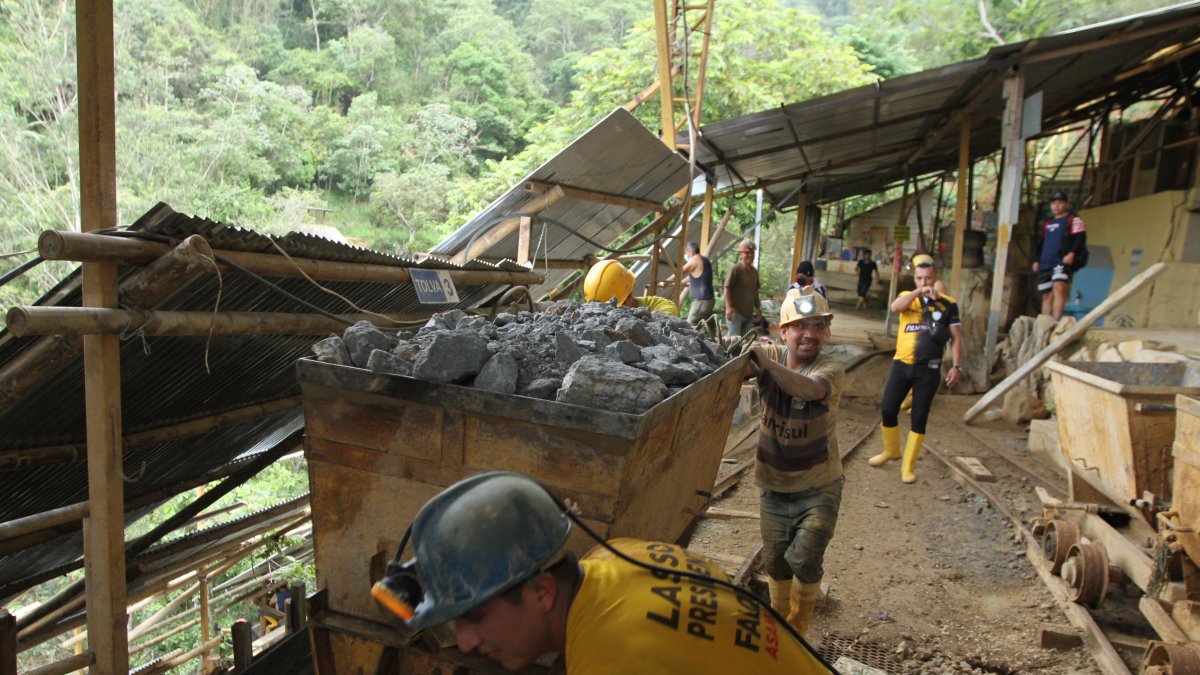 Referencia. El estudio de monitoreo satelital devela cifras alarmantes.