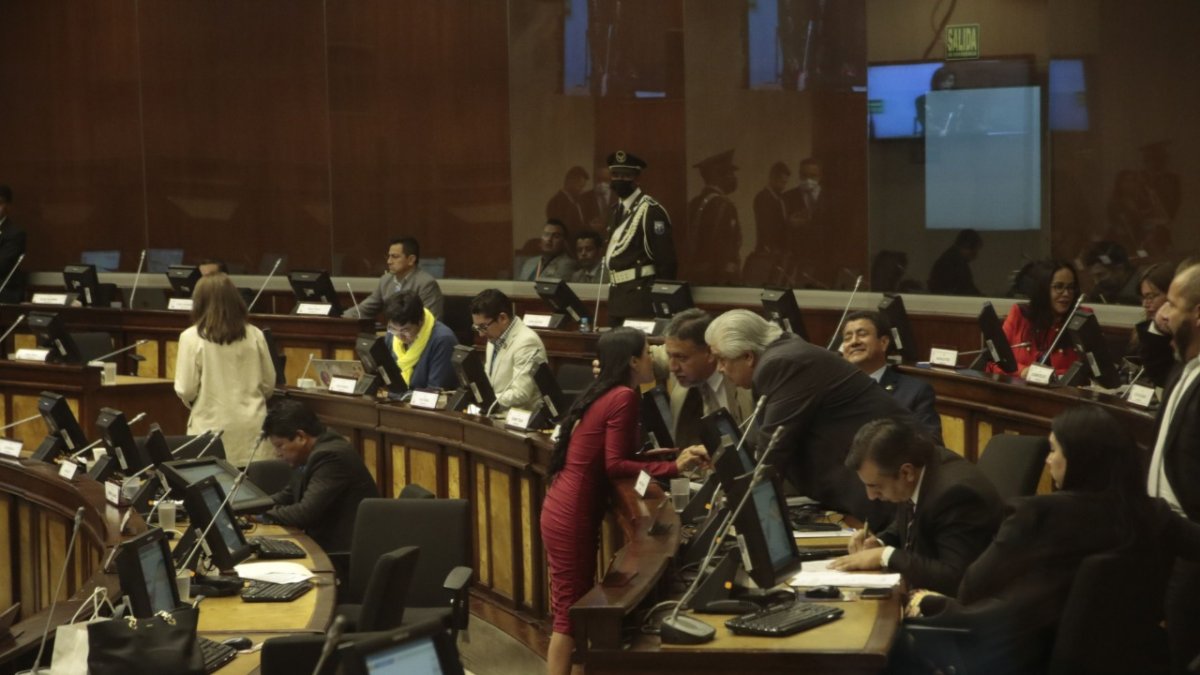 Actualmente, el legislativo tiene 137 integrantes. Si se impone la pregunta en la consulta se reducirían unos 20 legisladores.