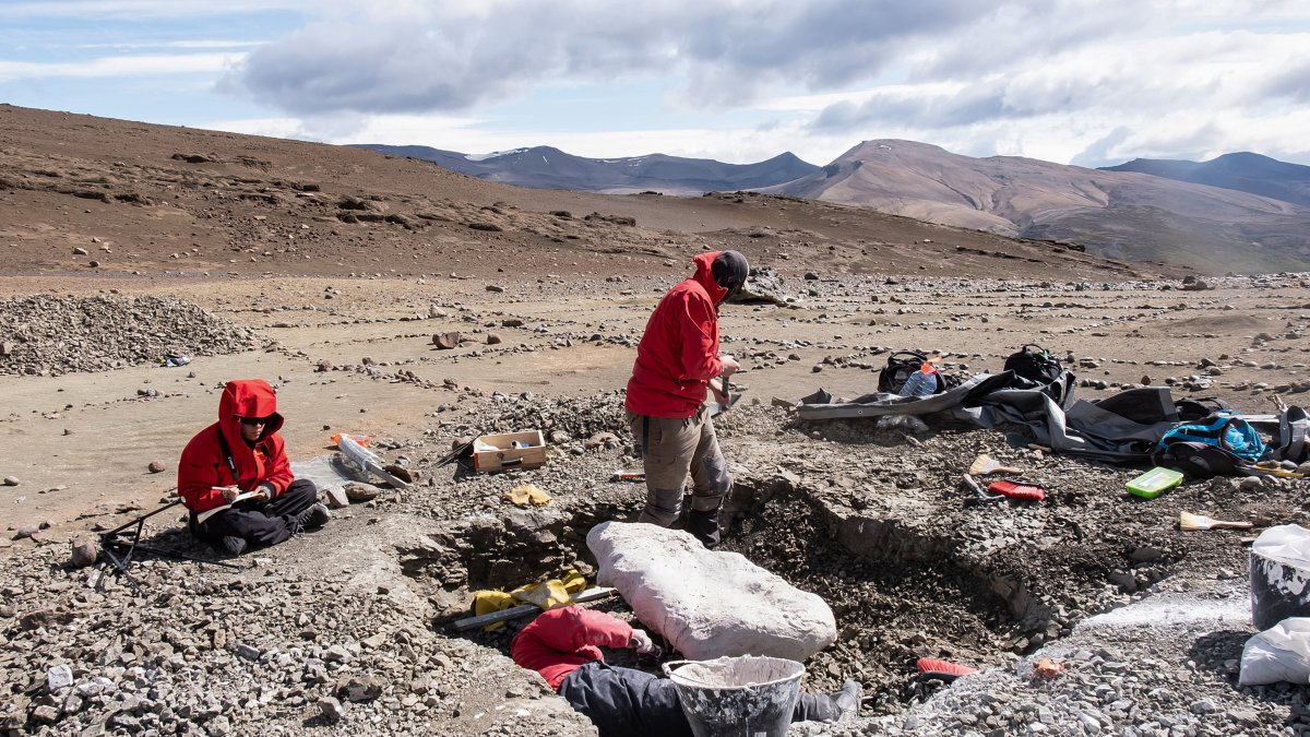 Fotografía de archivo sin fechar cedida por la Universidad de Chile, que muestra a un grupo de investigadores excavando, en La Patagonia (Chile). 