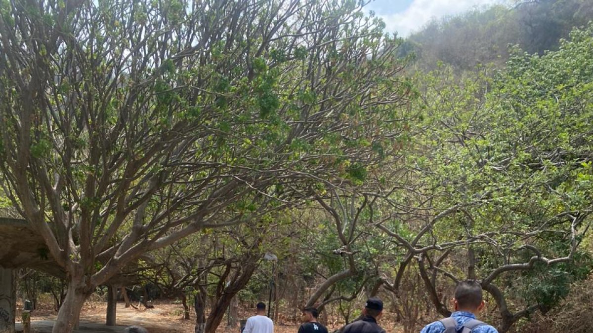 Hecho. El desalojo se produjo la mañana de jueves 12 de enero.