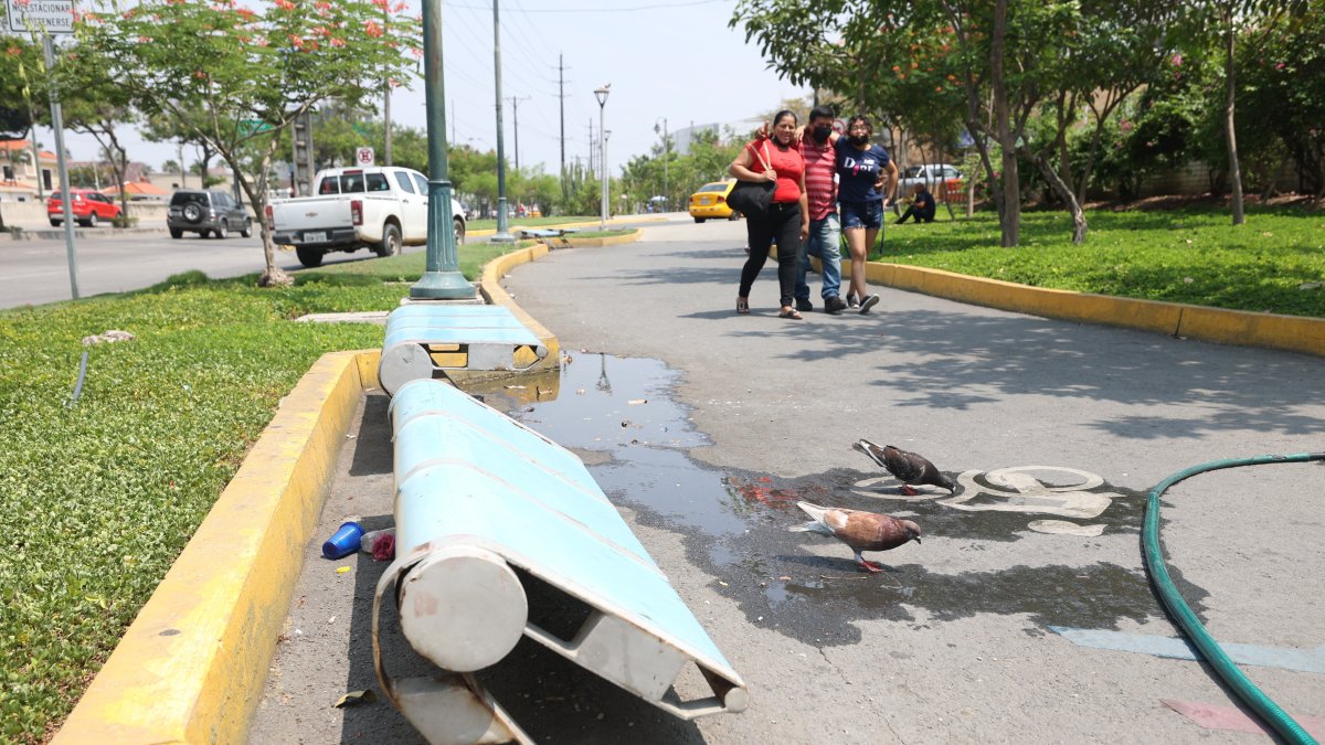 El estado de los bancos es deplorable.