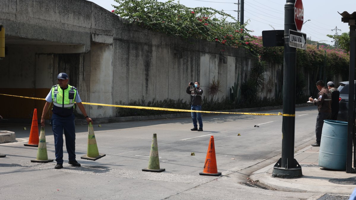 El presidente del comité de Los Ceibos fue asesinado a tiros el pasado 13 de enero