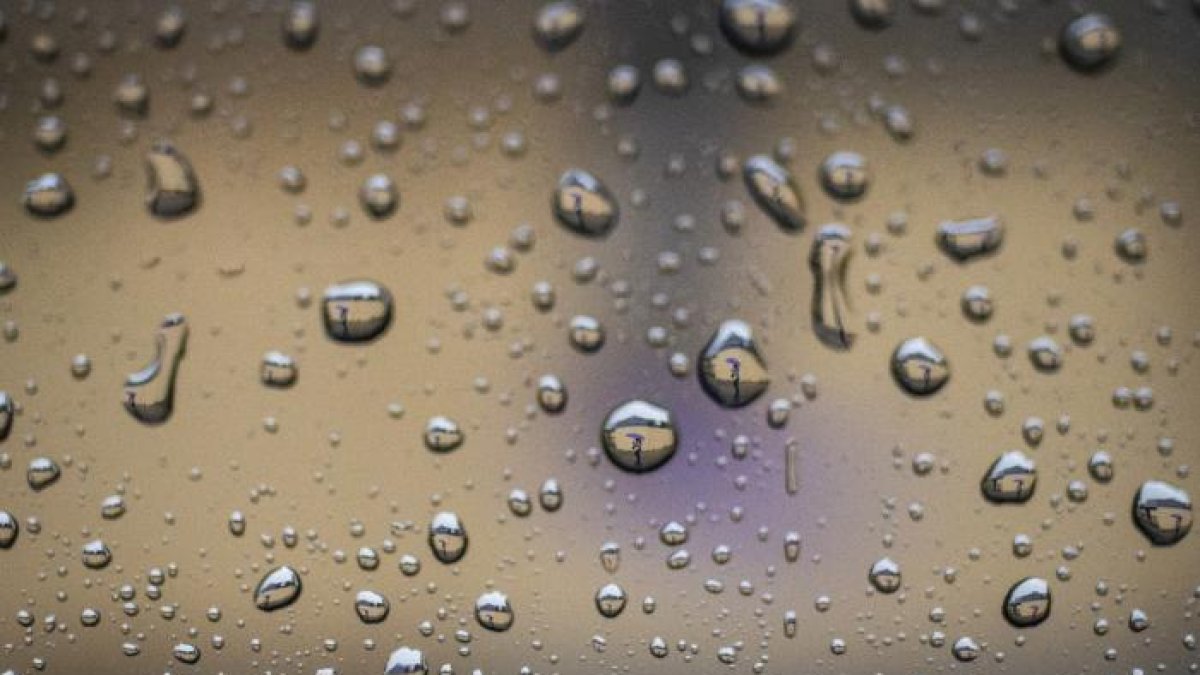 El dispositivo es una especie de hoja de planta artificial: captura agua y luz y lo convierte en energía química.