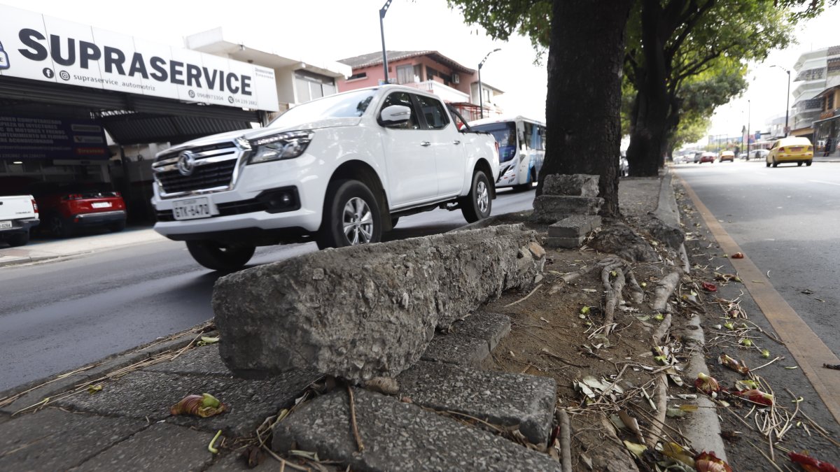 Situación. Así se encuentra un tramo del parterre central de la transitada avenida.