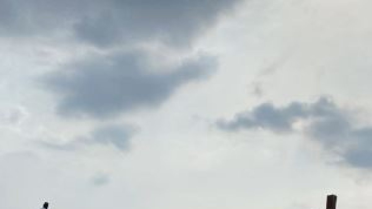 Parte del video de la cuenta de Héctor Vanegas.