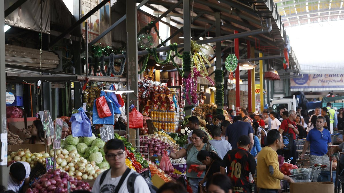 Las alzas importantes se dieron en frutas y verduras como el limón (24,9 %). 