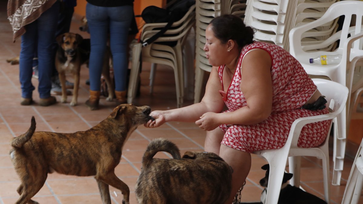 Ana Cristina Martínez juega con sus perros el 12 de enero de 2023 en Rosas (Cauca)./ 