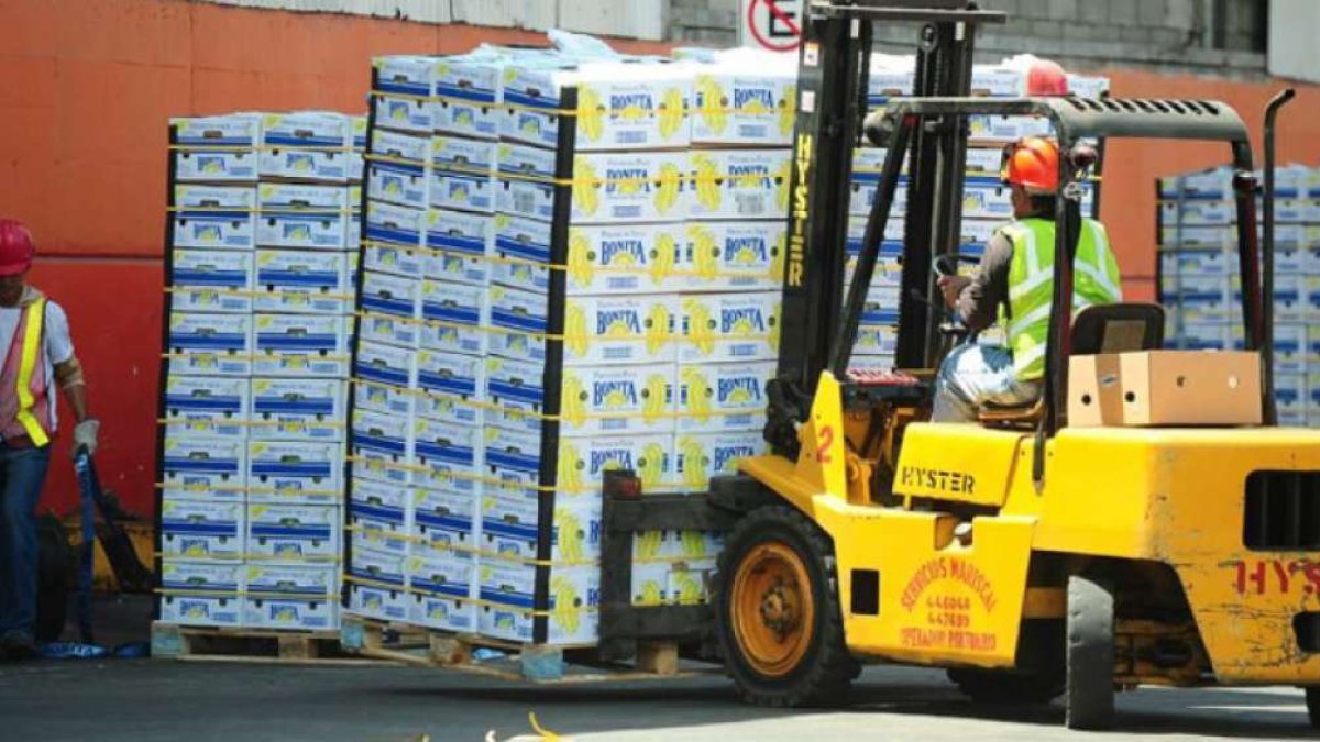 Comercio.- Cajas de banano que se alistan para ser exportadas .