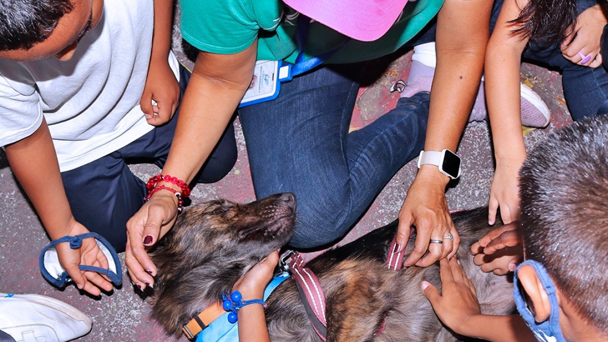 Niños juegan con mascotas que fueron llevados hasta el albergue para que ellos interactúen con los animales.