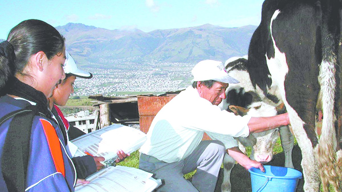 Finca. Una persona saca leche de la vaca de manera manual.