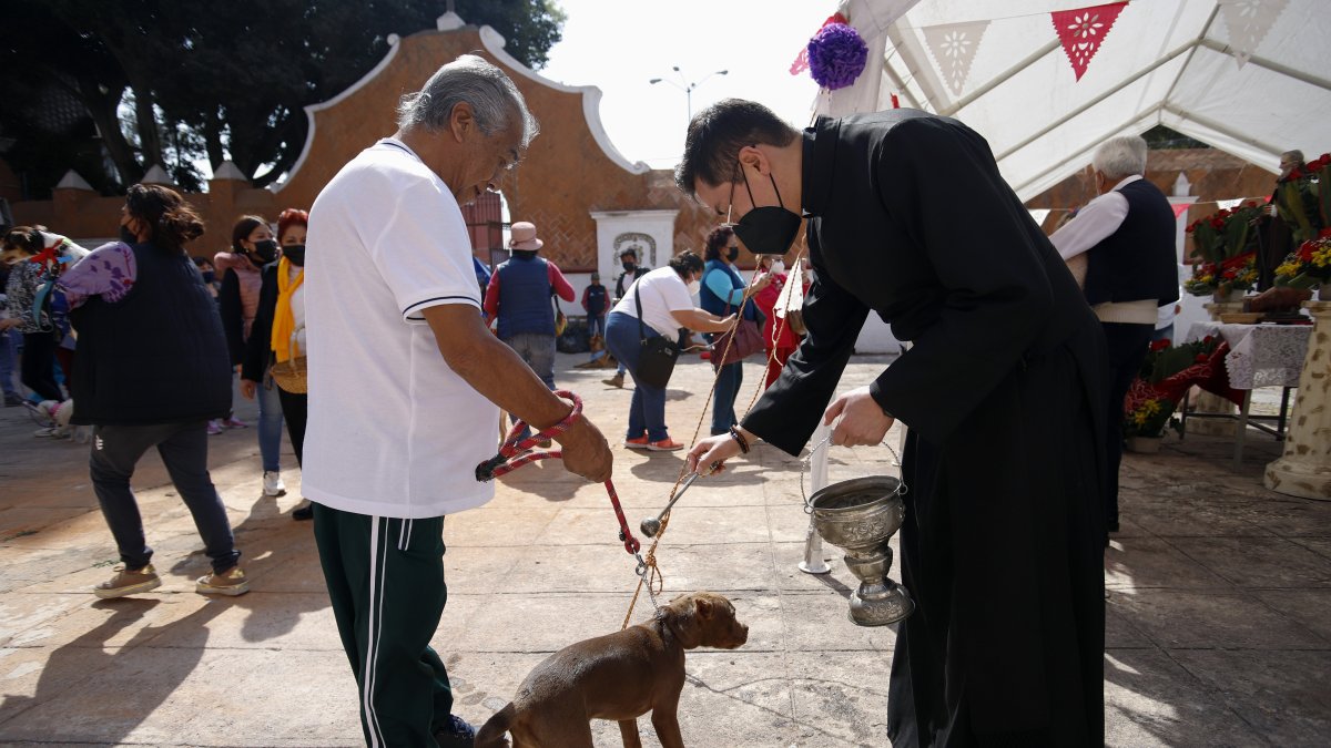 Personas llevan a sus mascotas a bendecir en el marco de los festejos de San Antonio Abad hoy, en el municipio de San Andrés Cholula, estado de Puebla (México).
